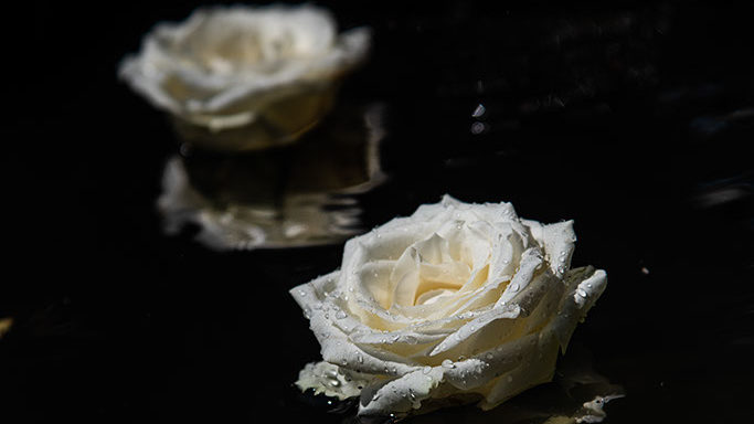 Décoration avec des roses pour un mariage pendant le vin d'honneur