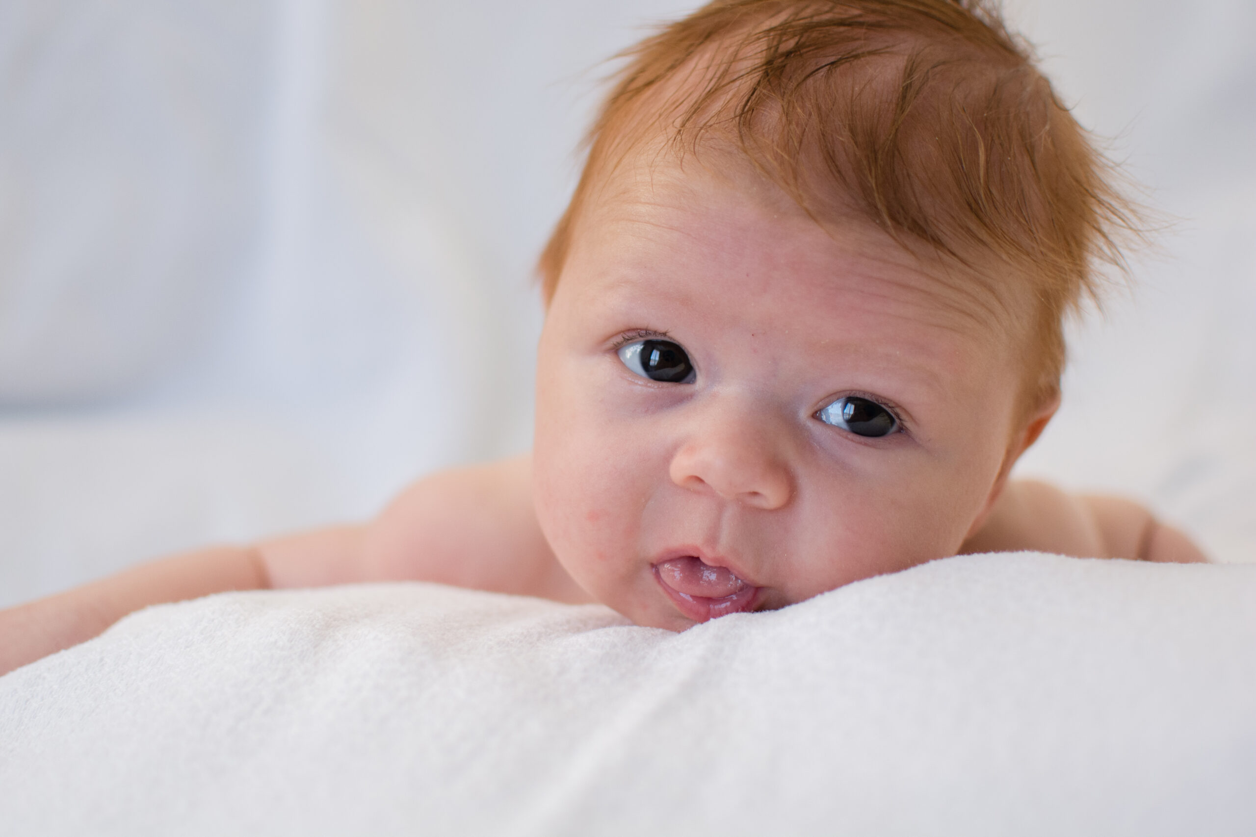 Petit bébé photo de naissance sur le ventre sur un drap blanc